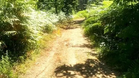 COURSAC-Chemin d'ambroise-Chemin