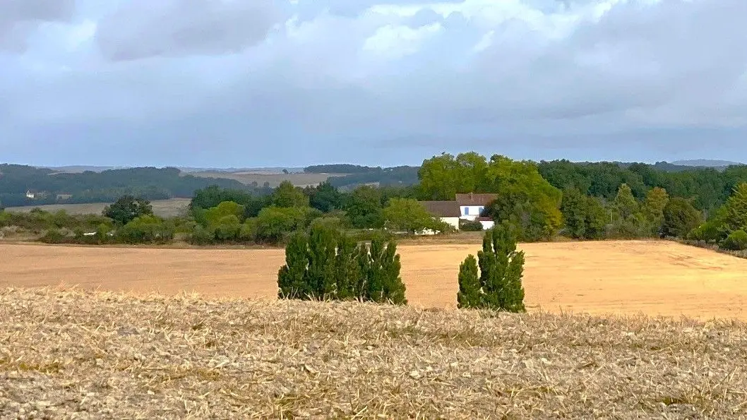 COUTURES-Boucle de Coutures-Champs