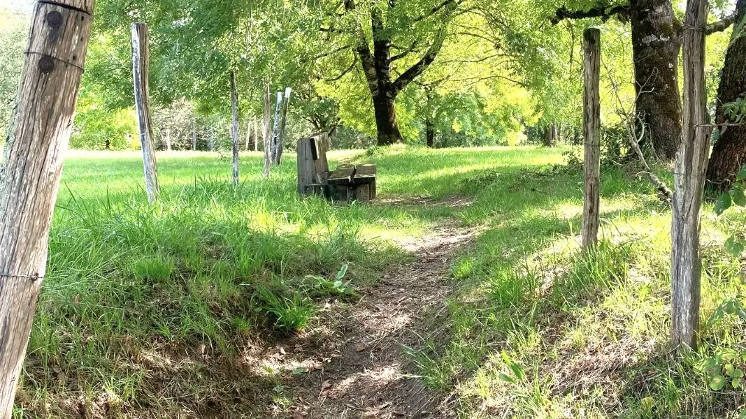 COUX-ET-BIGAROQUE-Boucle de l'Aurival-Chemin 2