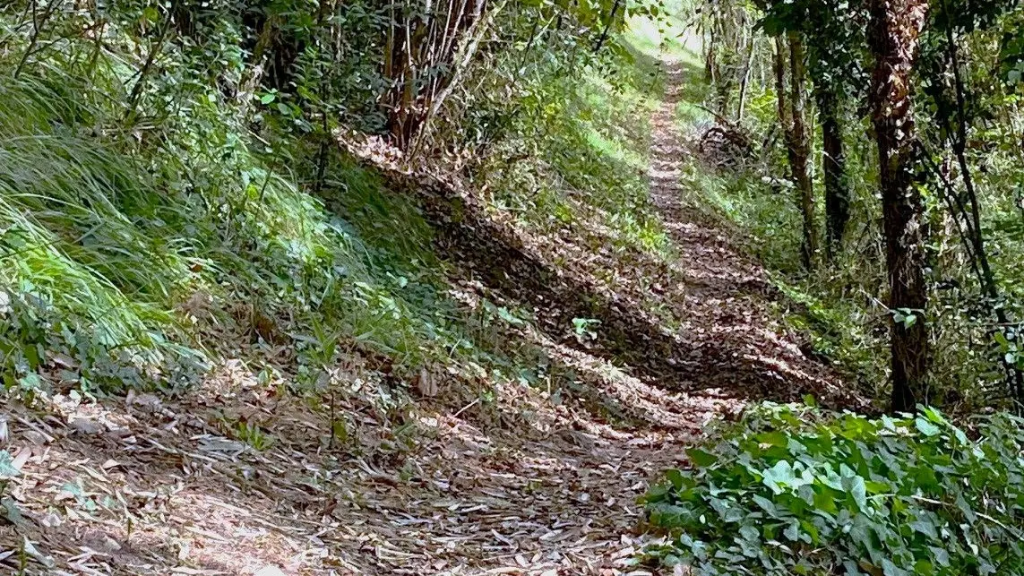 COUX-ET-BIGAROQUE-Boucle de l'Aurival-Chemin