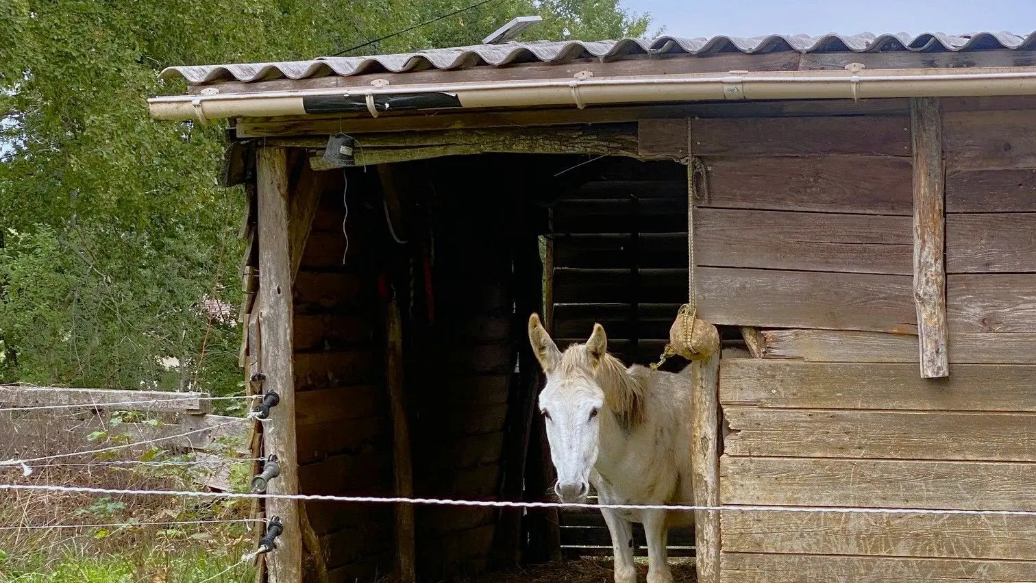 COUX-ET-BIGAROQUE-Boucle des fontaines-Cheval