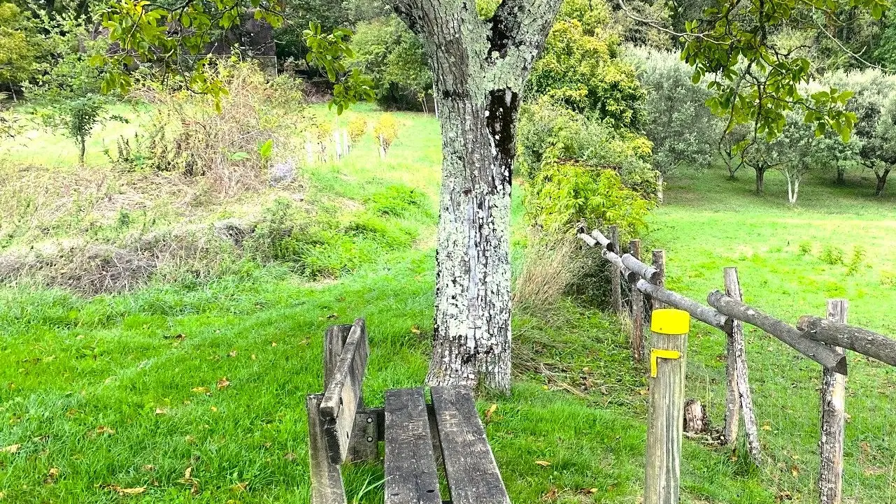 COUX-ET-BIGAROQUE-Boucle des fontaines-Chemin-Banc 2