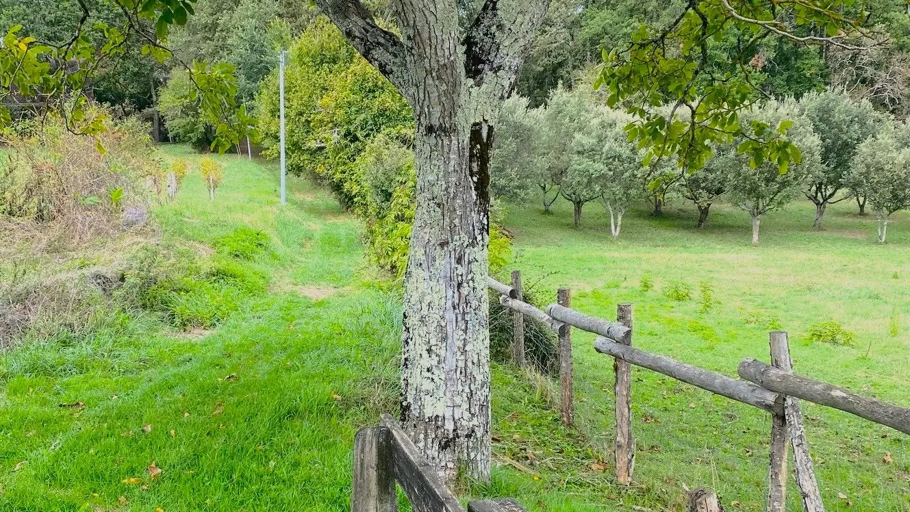 COUX-ET-BIGAROQUE-Boucle des fontaines-Chemin-Banc