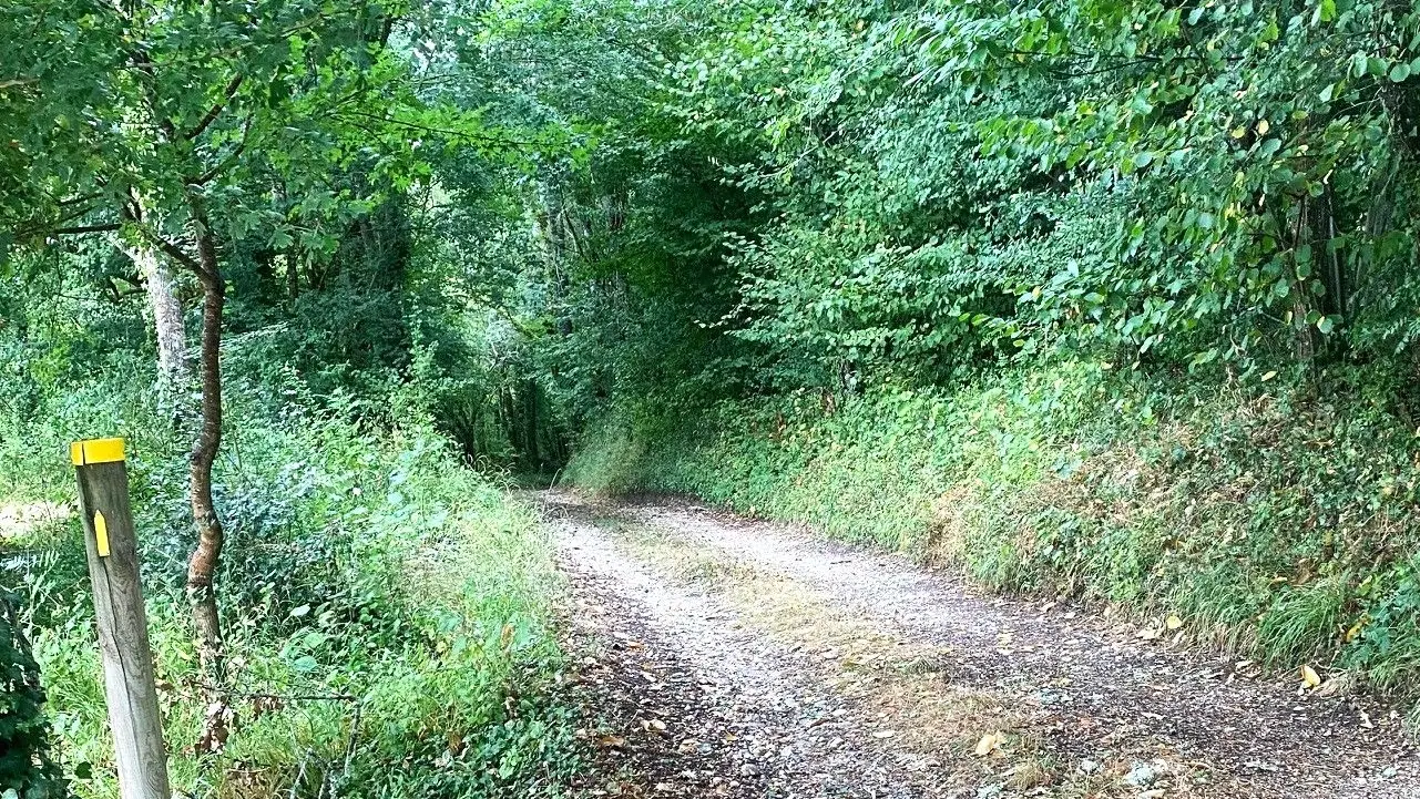 CREYSSENSAC-ET-PISSOT-Boucle de l'écureuil-Chemin-Poteau 2