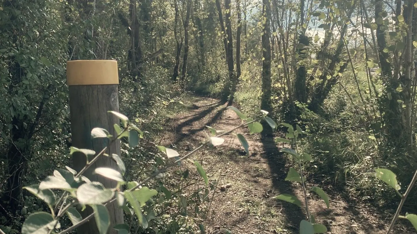 CUBJAC-Boucle de Lambaudie-Chemin-Potreau