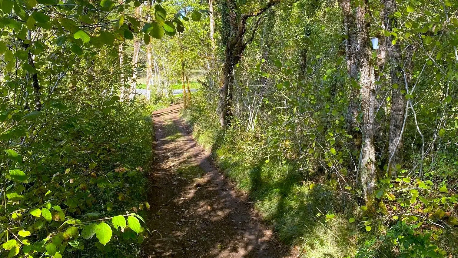 CUBJAC-Boucle de Lambaudie-Chemin