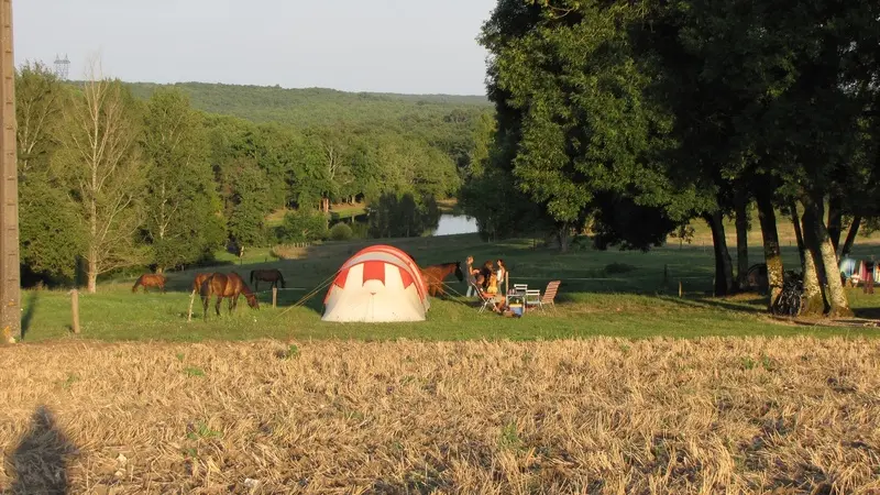 Camping