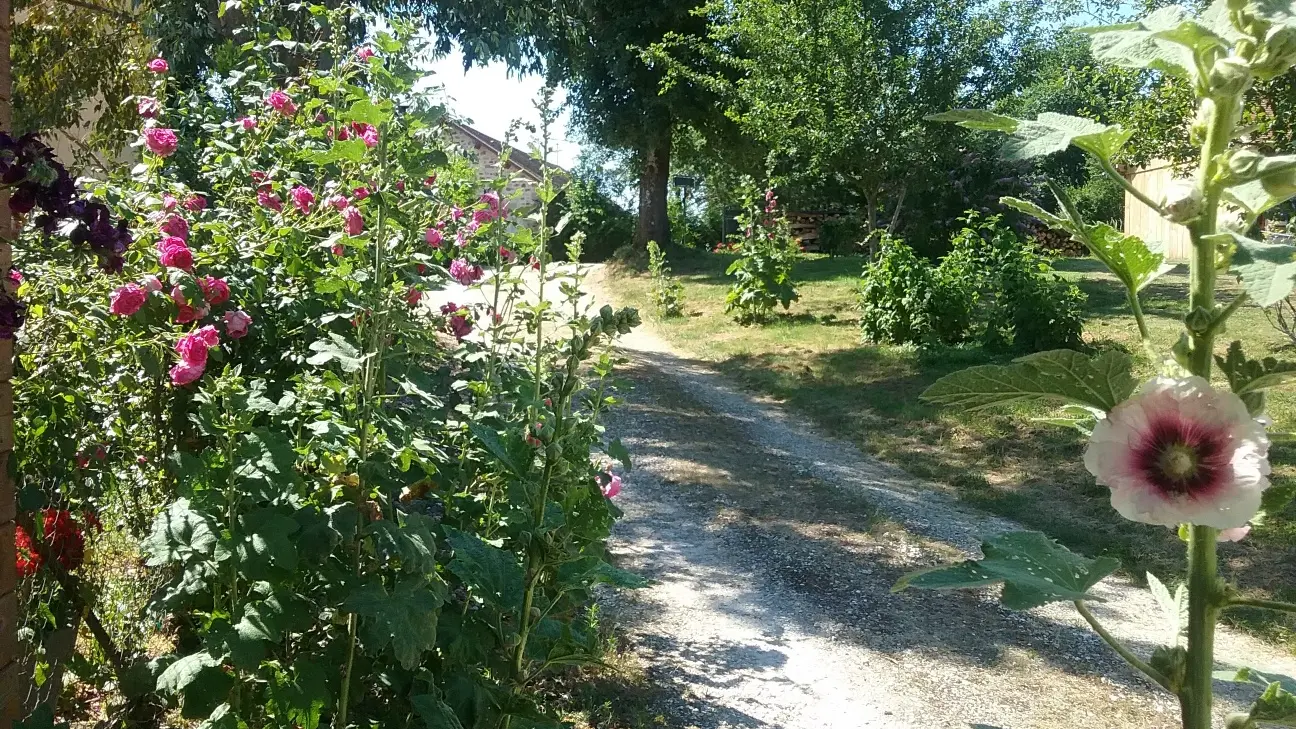 Camping la Grenouille 8