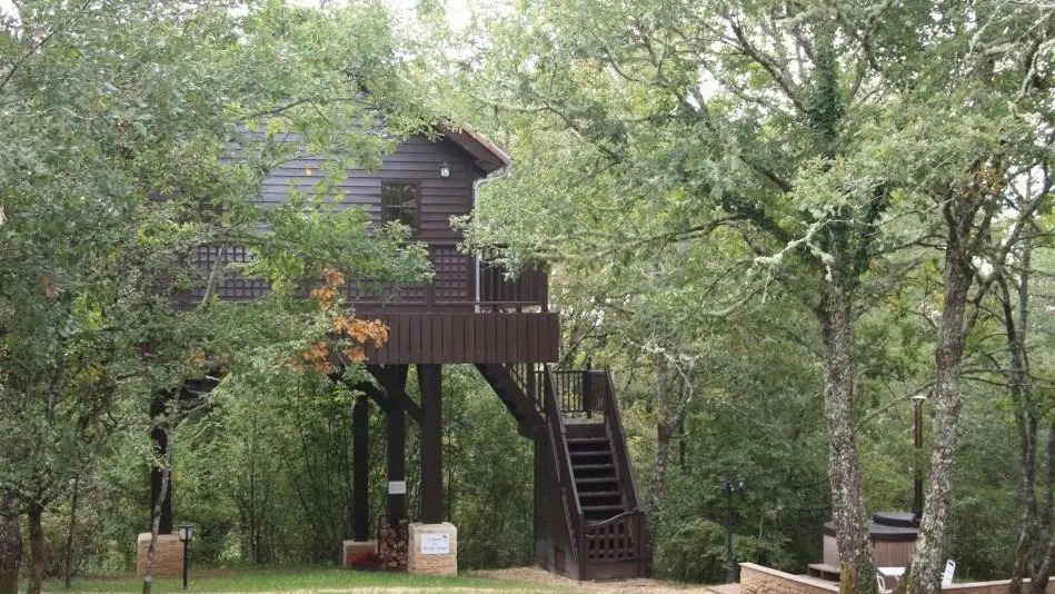 Cabane-le-rouge-gorge-4