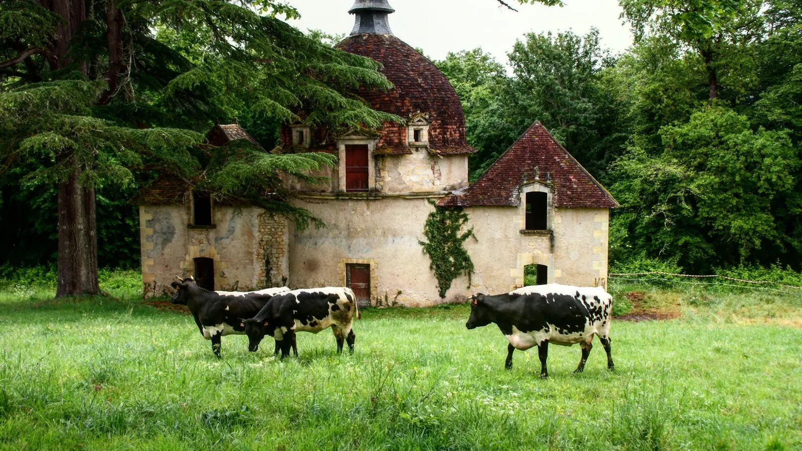 Chateau_Marzac1