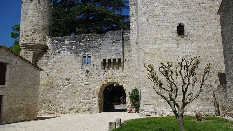 Chateau D Eymet (2)