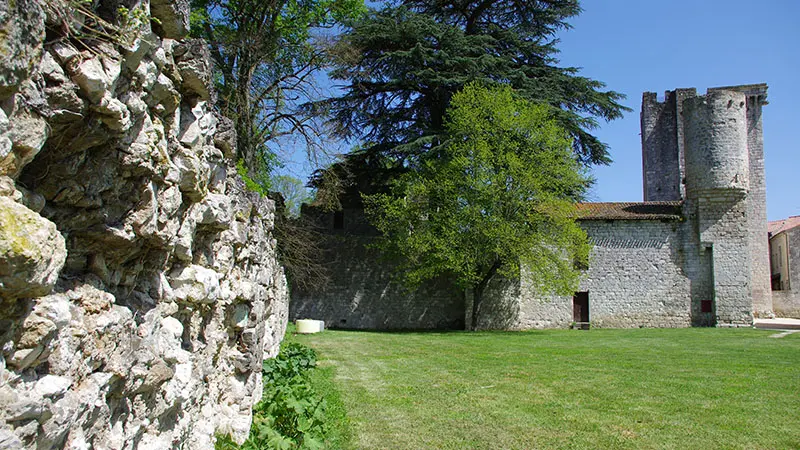 Chateau D Eymet (4)