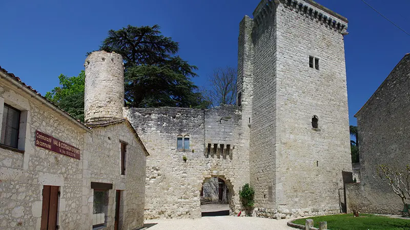 Chateau D Eymet (5)