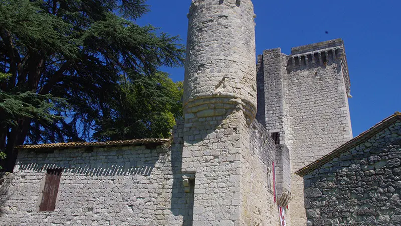 Chateau D Eymet (6)