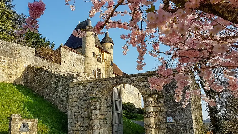 Château Excideuil prunus tel