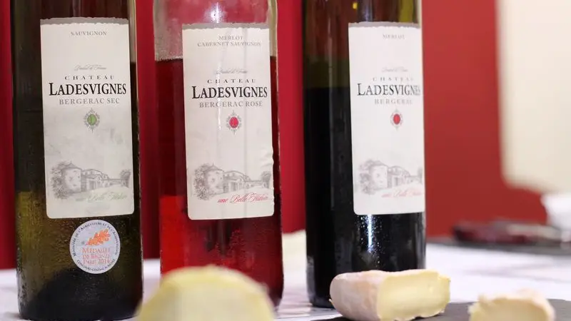 Chateau-Lasdesvignes-Degustation-vins-et-fromages---MC-Grasseau--17-