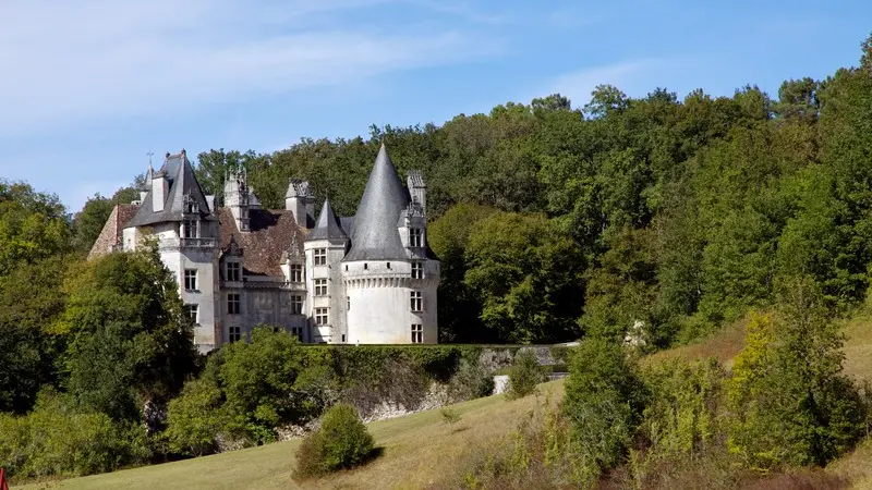 Château de Puyguilhem_2