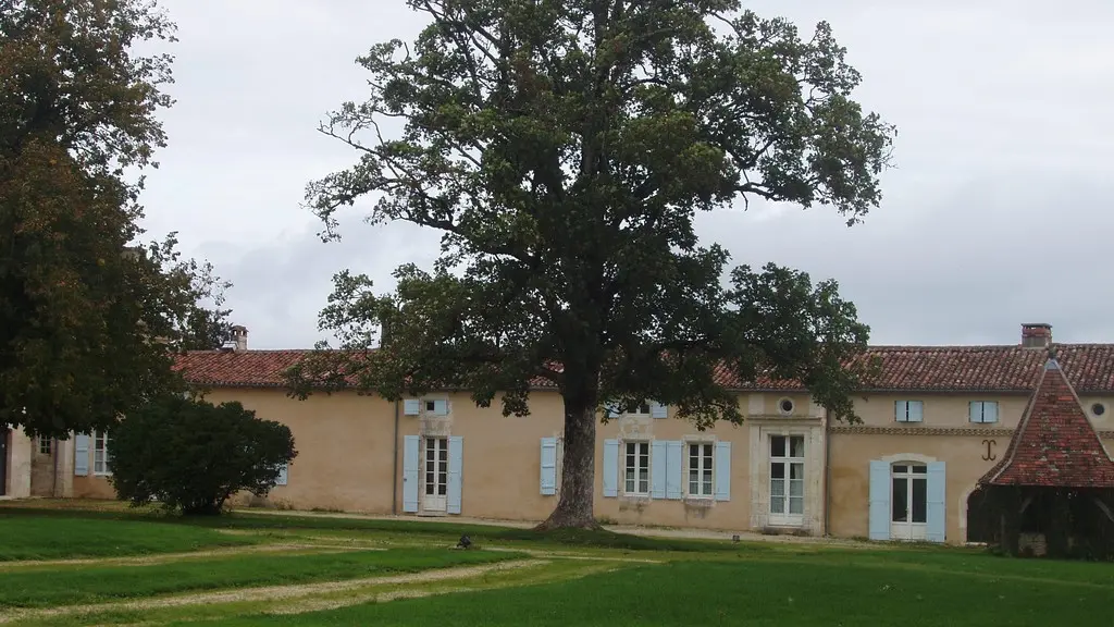 Chaulnes-Bergeronnettes-cour arbre-2