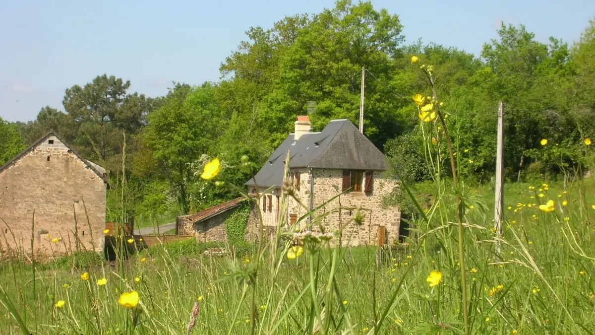 Chez La Louise (2)