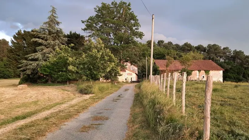 Chemin Domaine de Boisset