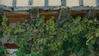 Colombages Bourg Boisse 07-10 02