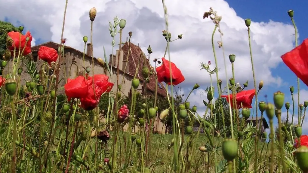 Ferme de tandou