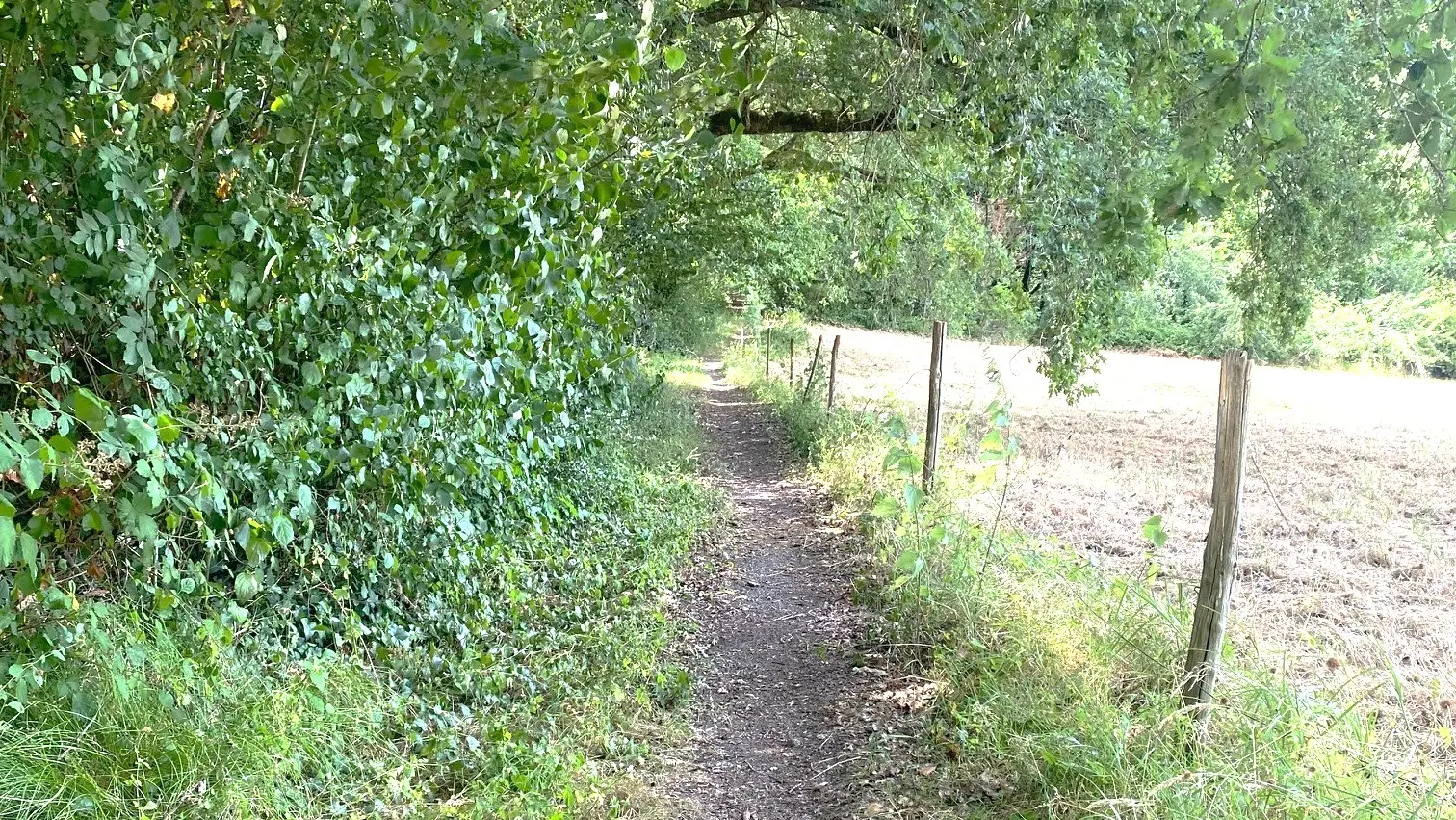 Coulounieix-Chamiers-visuel chemin