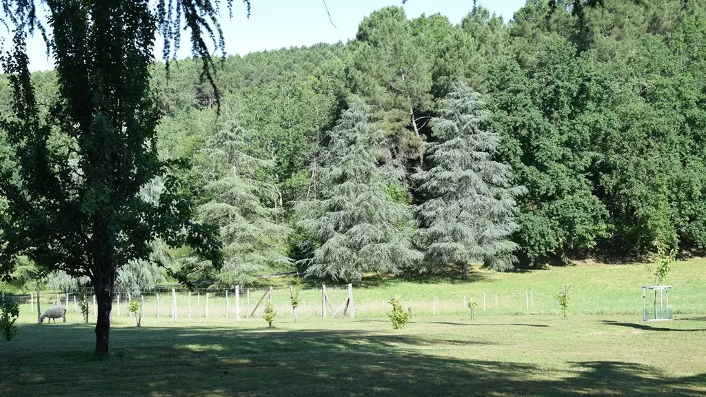 Gite Refuge des ecureuils Campsegret