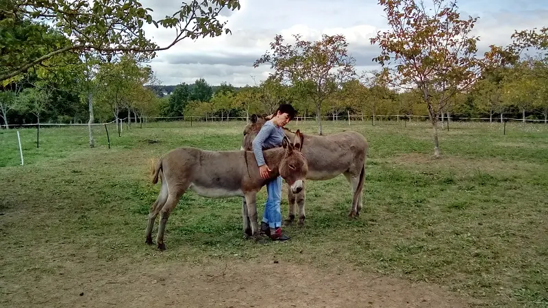 Au Pré des Noix_Alexandrine MOREAUX