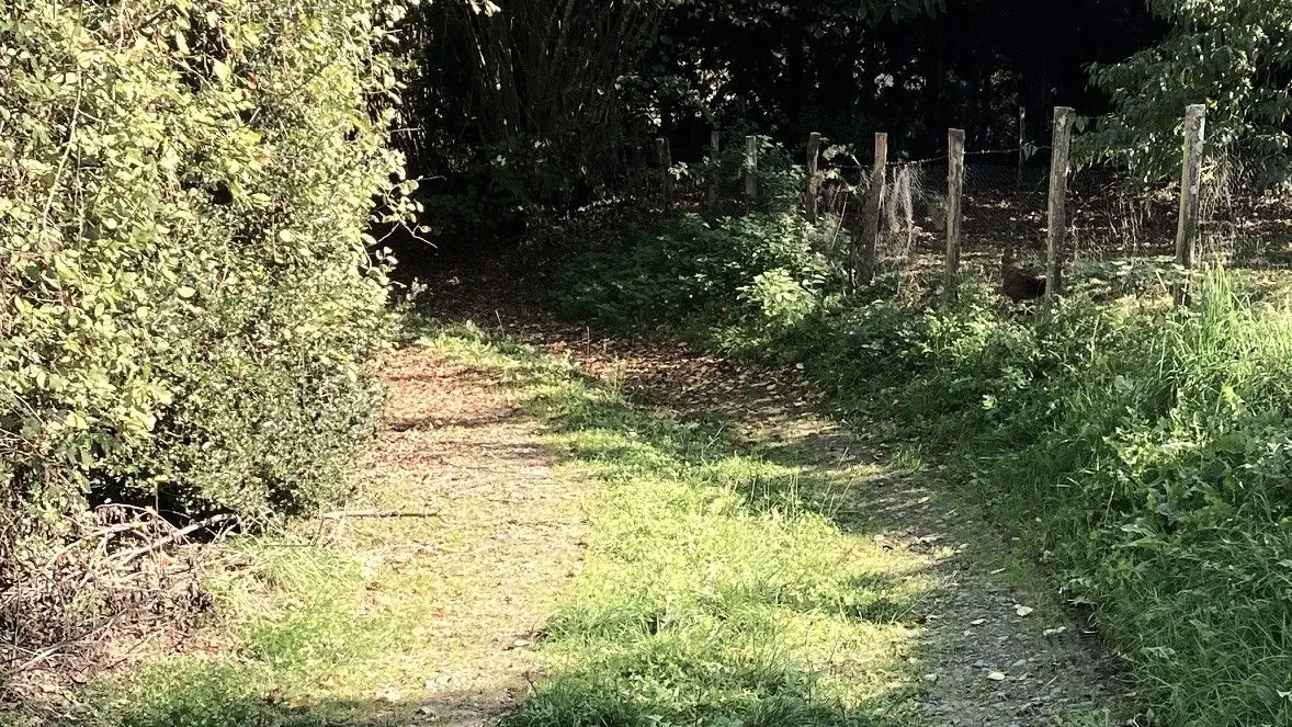 DUSSAC-Boucle de Foucauld-Chemin 2