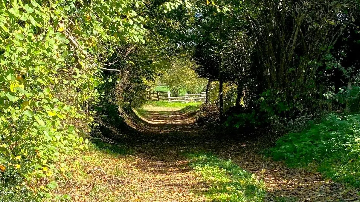 DUSSAC-Boucle de Foucauld-Chemin