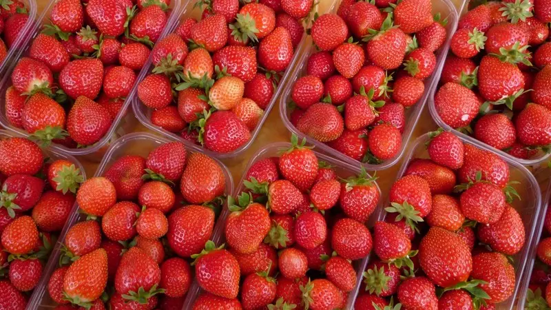 Dartenset fraises