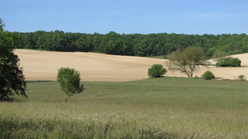 Diversité des cultures assure diversité de l'avifaune