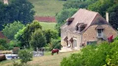 Domaine-du-Cerneau-6