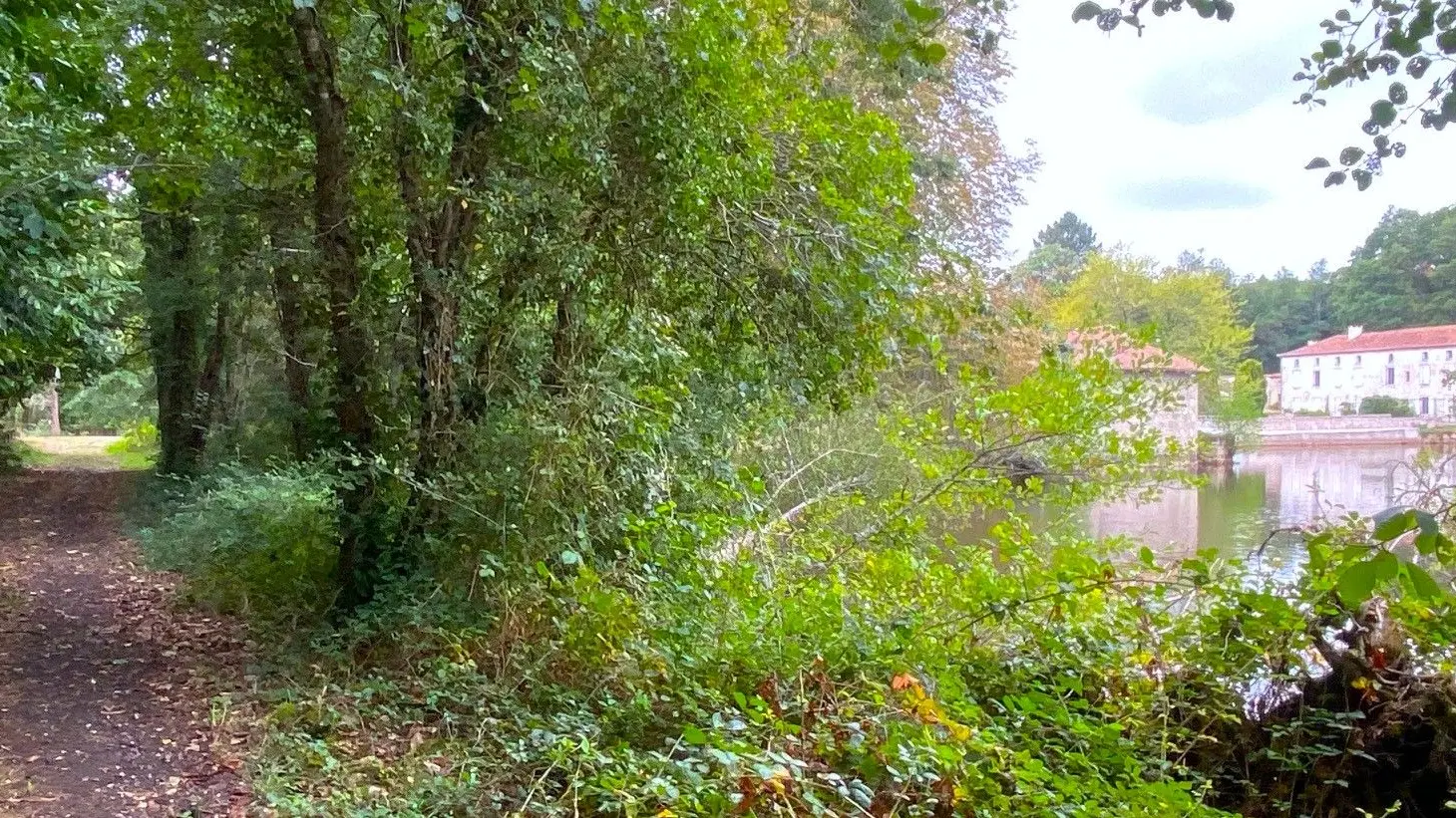 ETOUARS-Boucle d'Etouars-Chemin