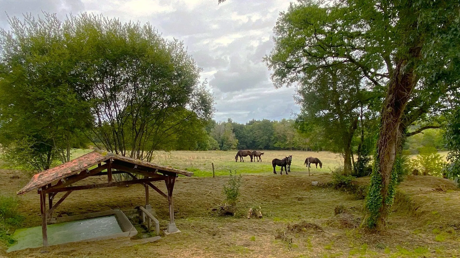 ETOUARS-Boucle d'Etouars-Chevaux