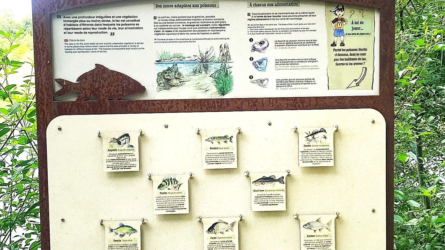 EYMET-Boucle de l'Escourou-Infos nature 2