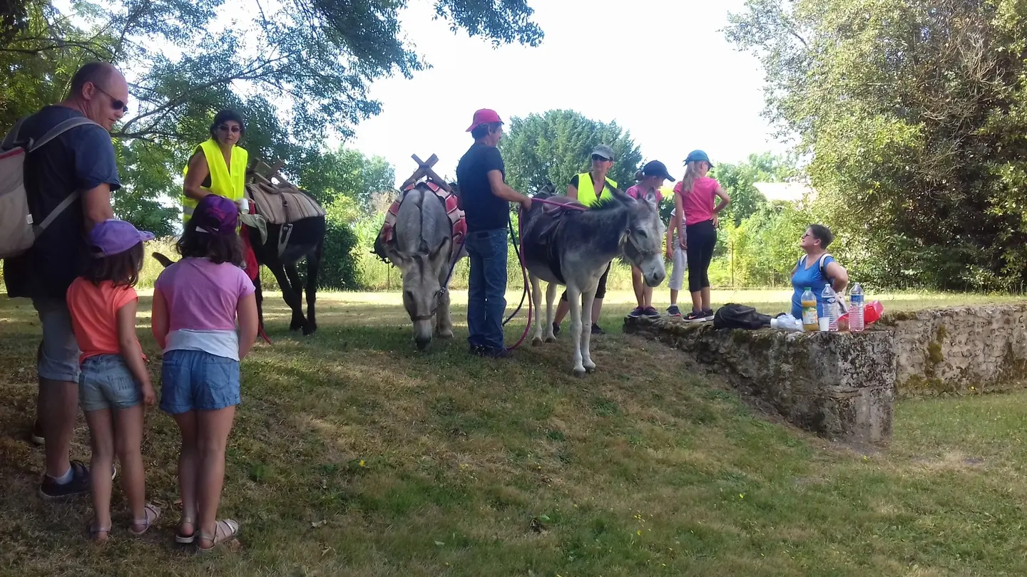 Echappée Verte - NANTEUIL AURIAC DE BOURZAC (5)