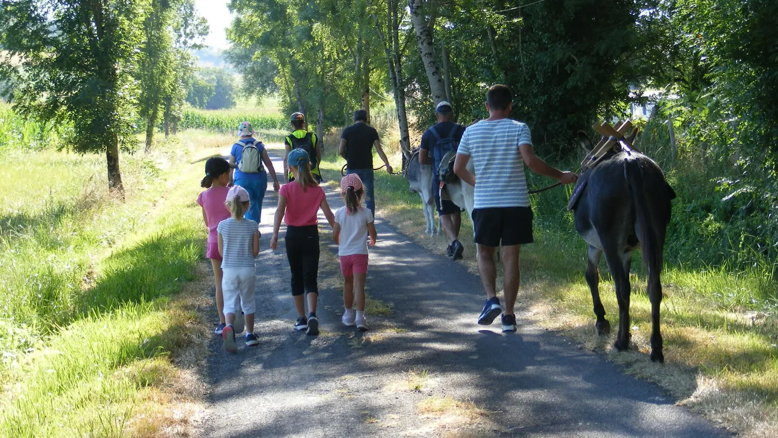Echappée Verte - NANTEUIL AURIAC DE BOURZAC (6)
