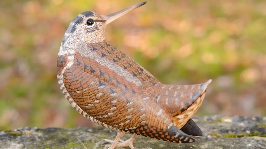 Eric Girard - Sculpteur d'oiseaux en bois