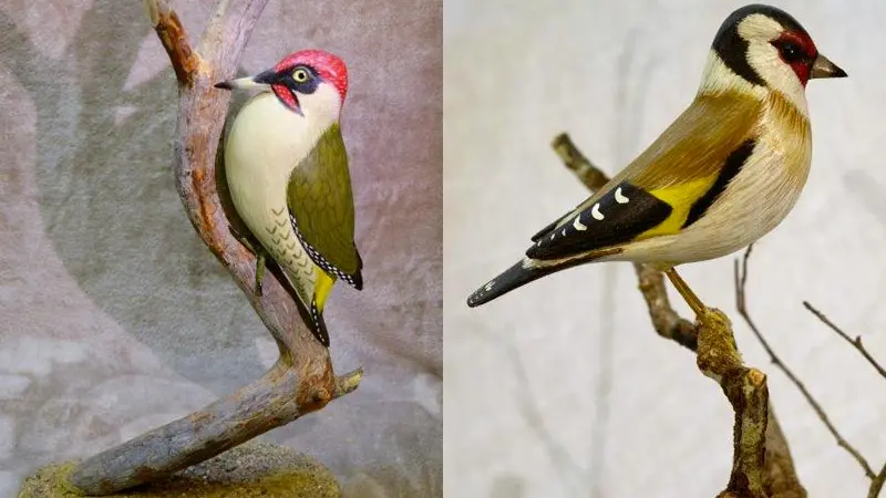 Eric Girard - Sculpteur d'oiseaux en bois