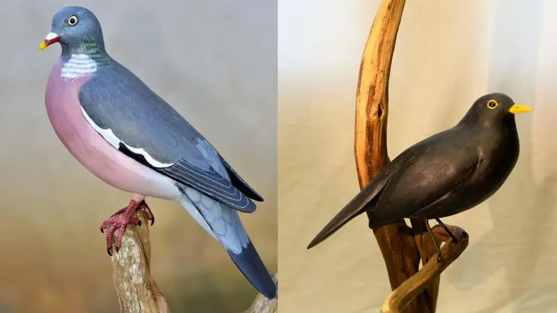 Eric Girard - Sculpteur d'oiseaux en bois