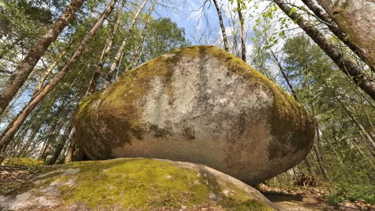 Etangs des Merles Rochers