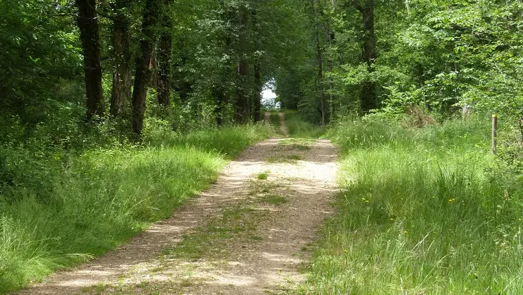 Etang de la Jemaye4 © Ot Pays Ribéracois