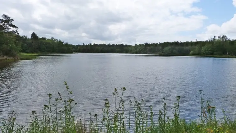 Etang de la Jemaye5 © Ot Pays Ribéracois