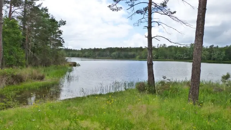 Etang de la Jemaye6 © Ot Pays Ribéracois