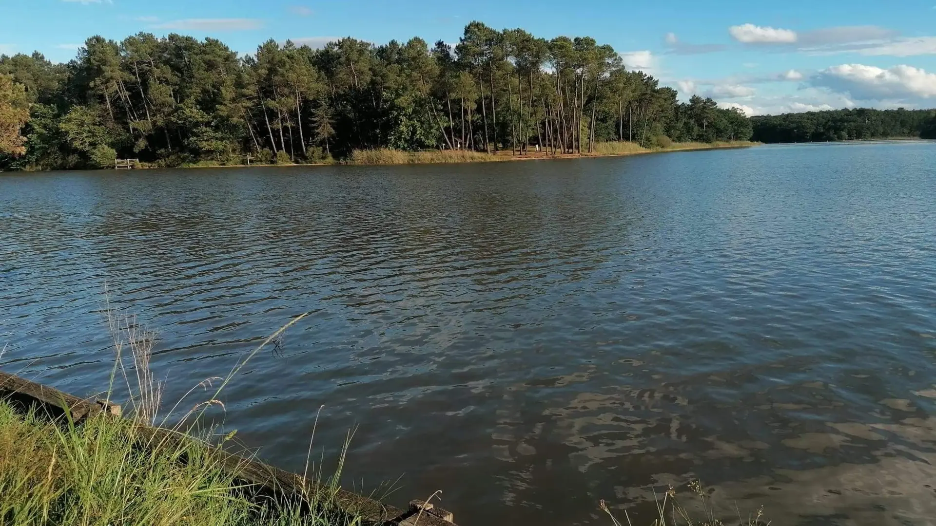 Etang de la Jemaye (3)