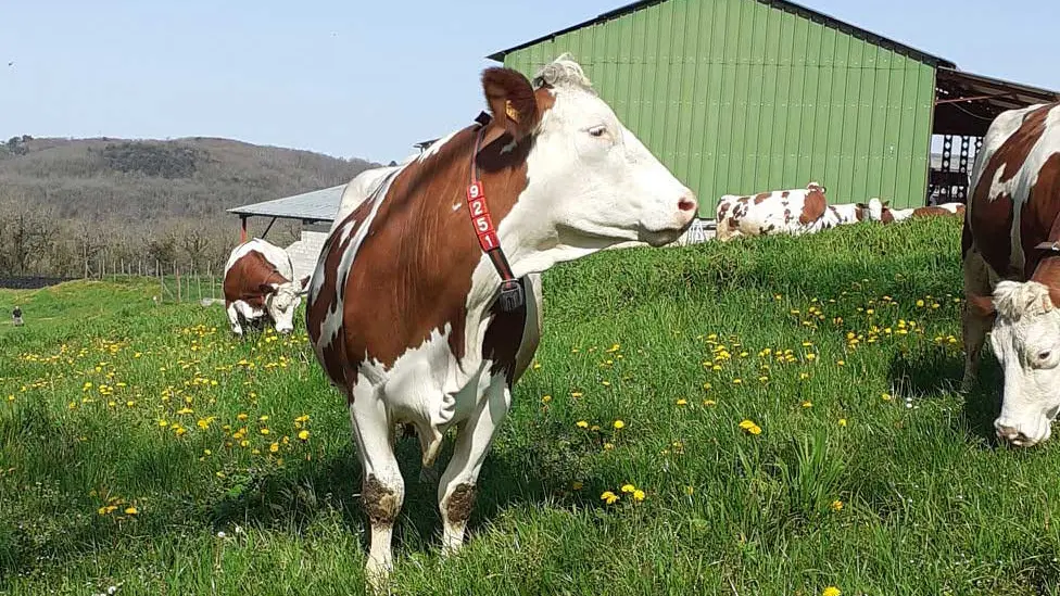 Ferme de la brunie