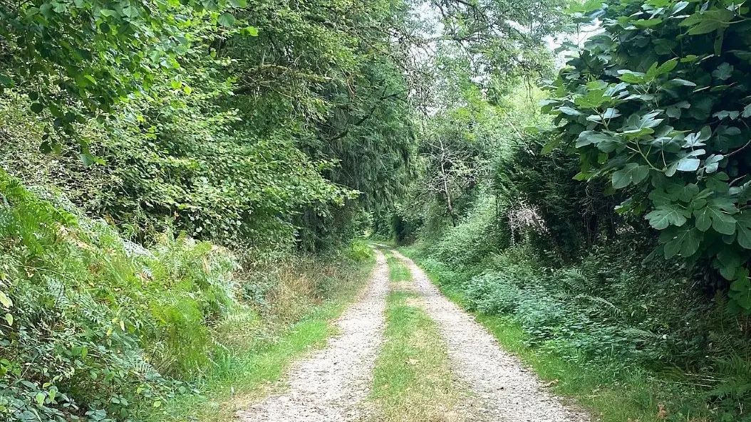 FIRBEIX-Boucle des étangs-chemin