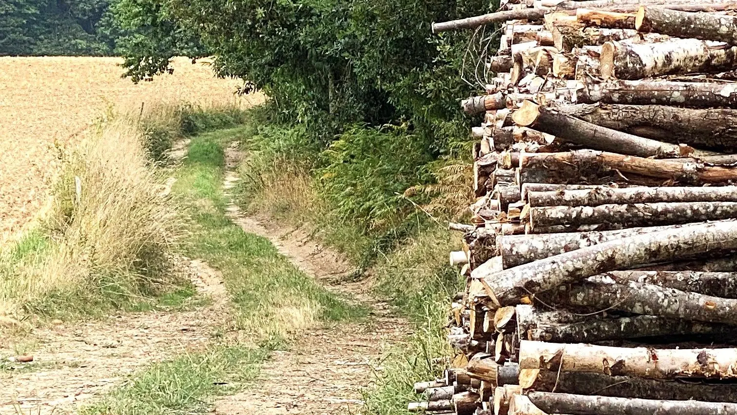 FIRBEIX-Boucle des forges-chemin